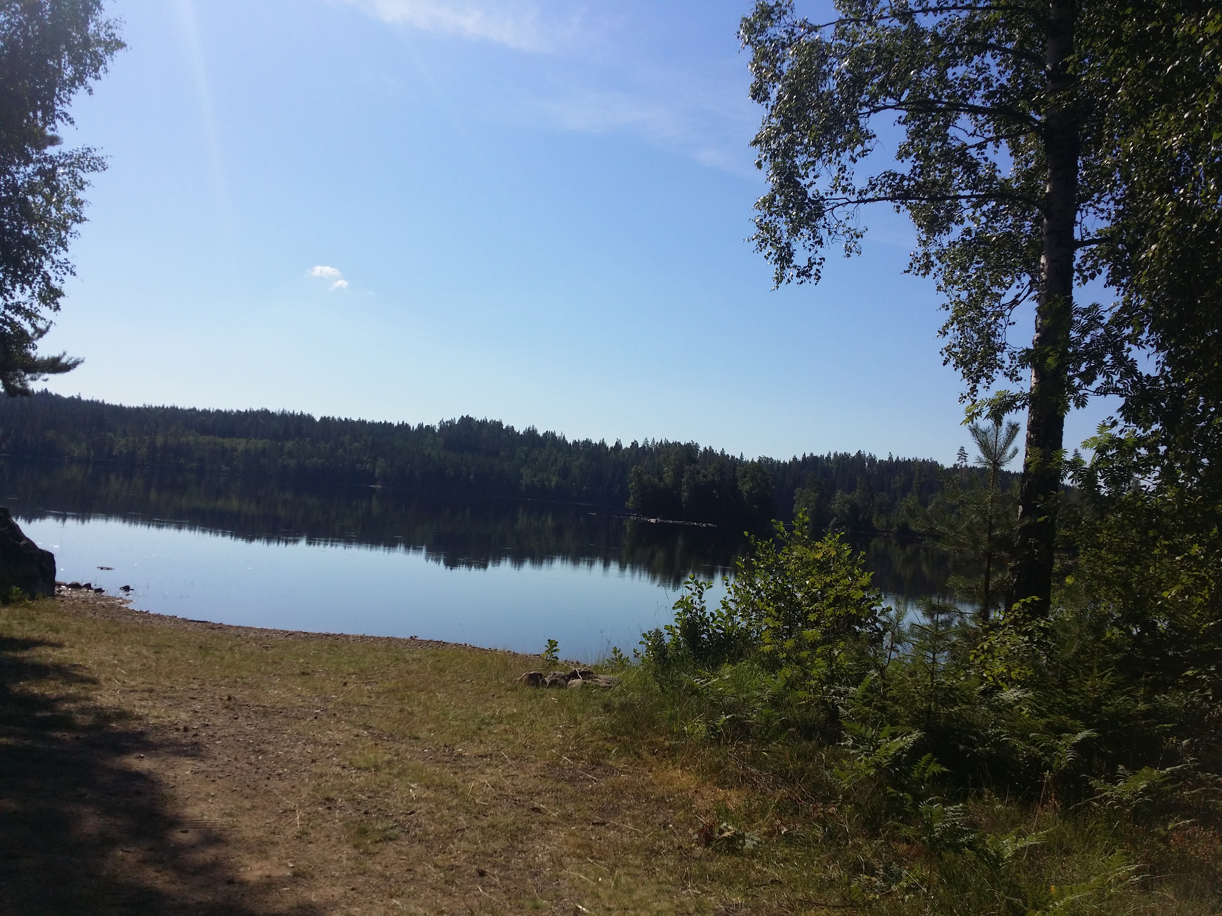 20180725_095703.jpg